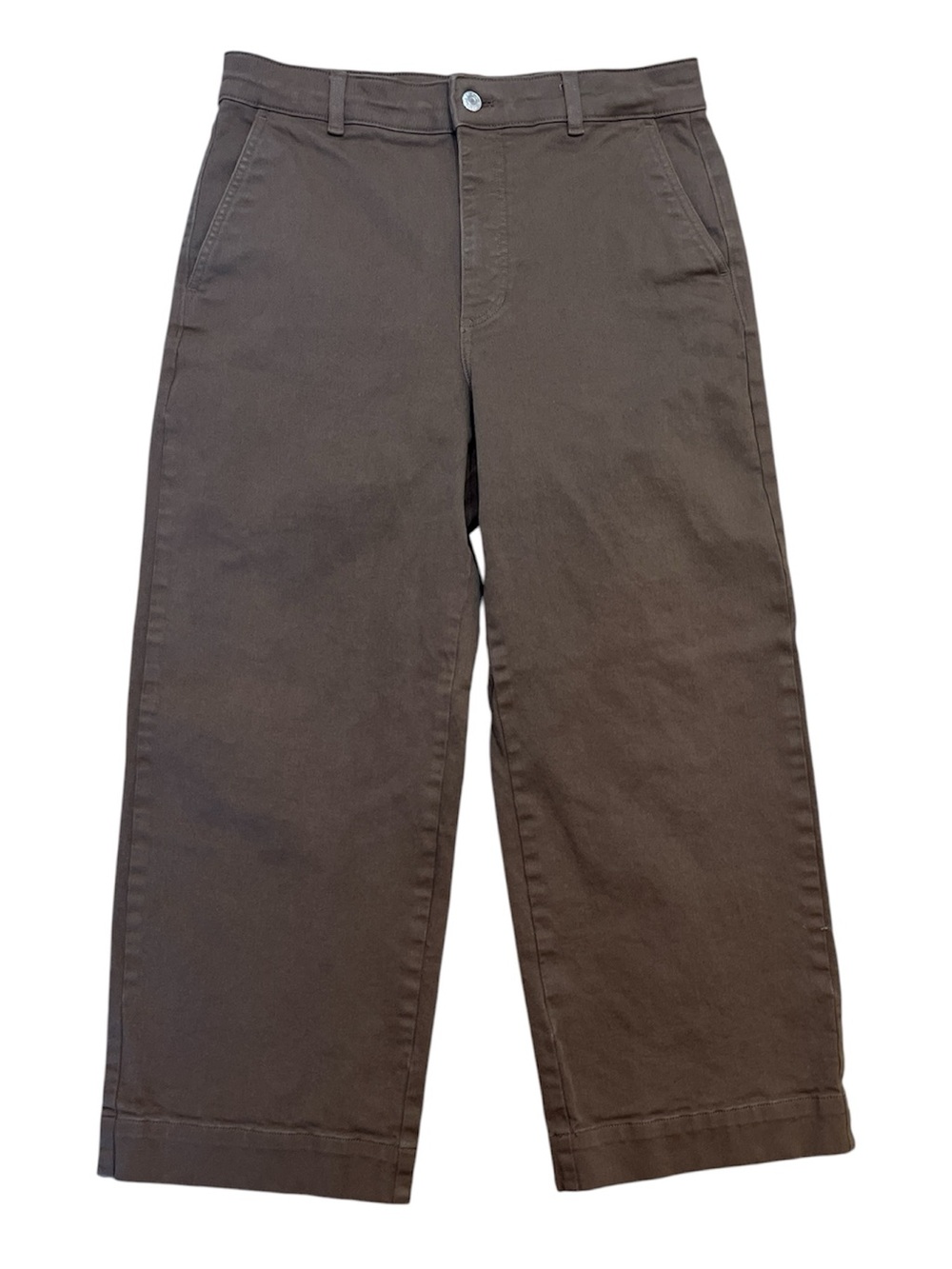 Everlane Brown High Rise Wide Leg Cropped Pant Women's 12R
